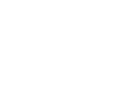 ¿Cuáles son los requisitos para complementar renta?